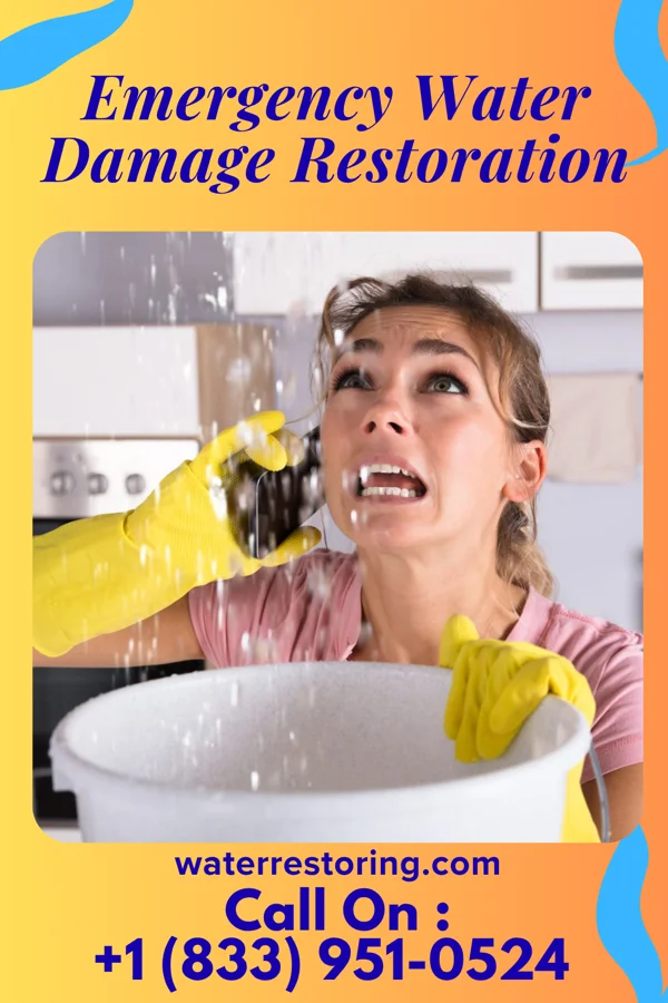 Emergency Water Damage Restoration in Metz, MO