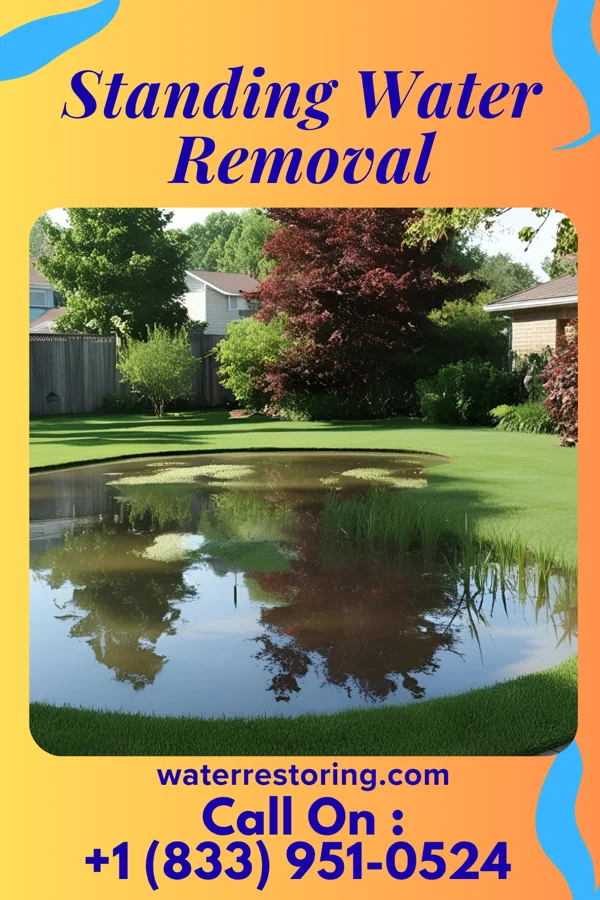 Standing Water Removal in Metz, MO